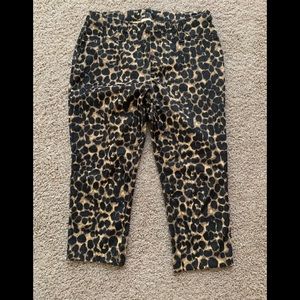 Capri leopard pants